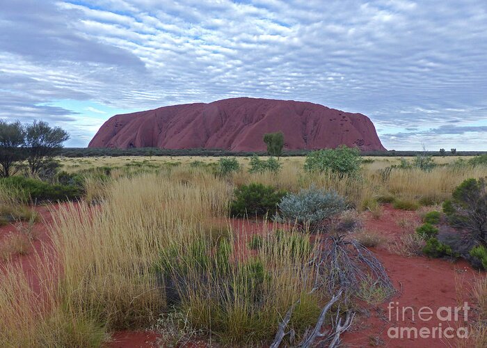 Uluru Greeting Card featuring the photograph Uluru - Australia by Phil Banks