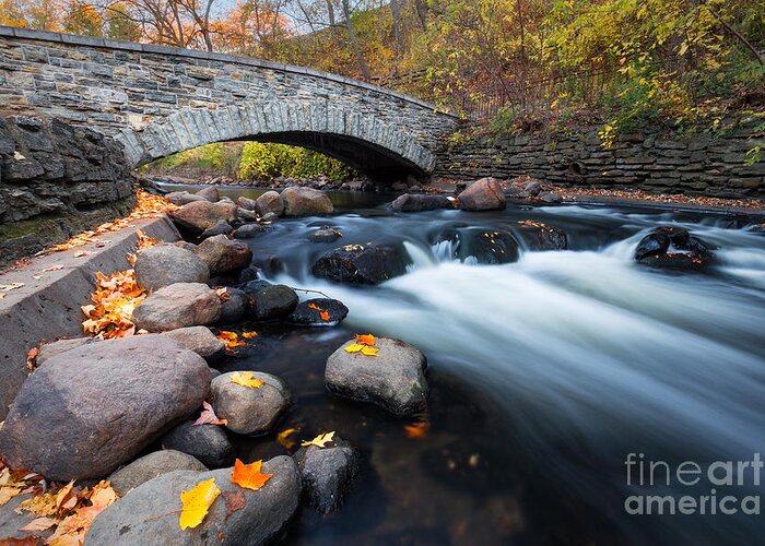 Fall Greeting Card featuring the photograph Under the Bridge by Ernesto Ruiz