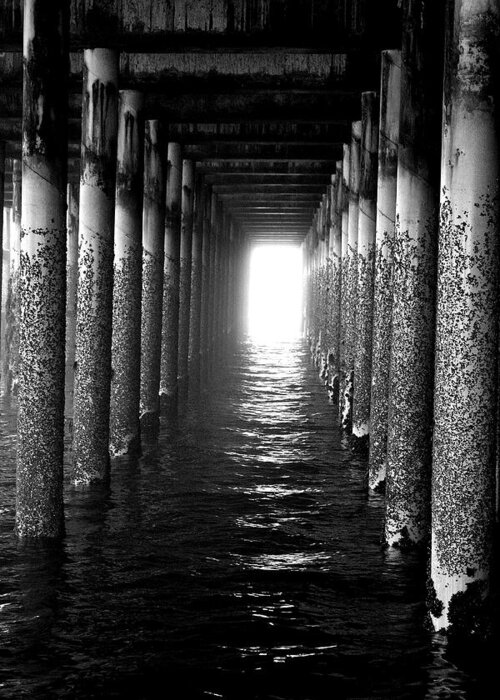 Pier Greeting Card featuring the photograph Under the Pier by Pat Moore
