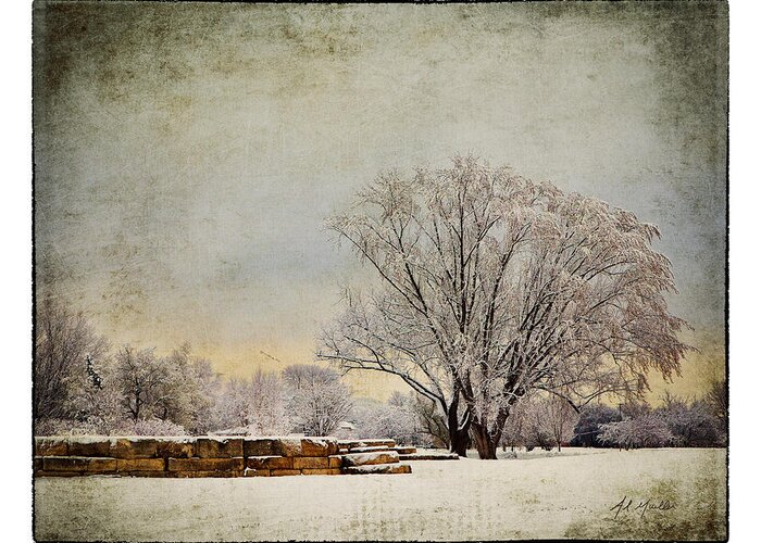 Tree Greeting Card featuring the photograph Unity Park 1 by Al Mueller