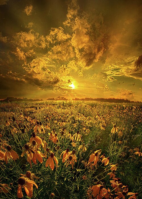 Landscape Greeting Card featuring the photograph Until You Listen To Your Heart by Phil Koch