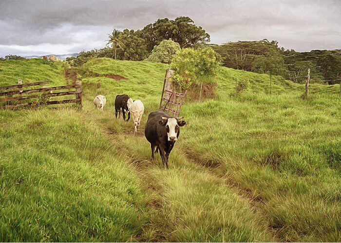 Cows Greeting Card featuring the photograph Upcountry Ranch by Susan Rissi Tregoning