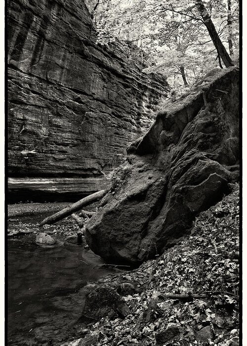 Illinois Greeting Card featuring the photograph Upper Dells of Mathiessen State Park by Jason Wolters