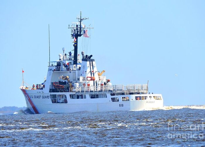 Art Greeting Card featuring the photograph US Coast Guard - Diligence by Shelia Kempf