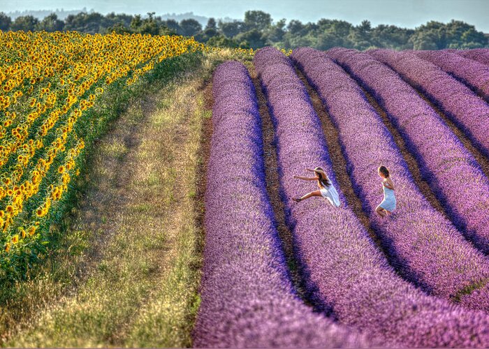 Valansole Greeting Card featuring the photograph Valensole by Karim SAARI