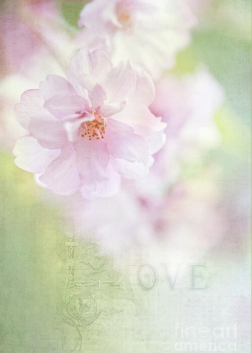 Flowers Greeting Card featuring the photograph Valentine Love by Anita Pollak