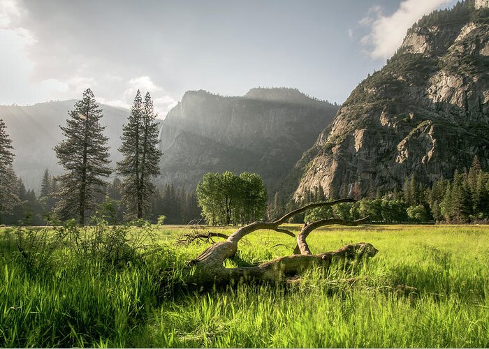 Yosemite Greeting Card featuring the photograph Valley Arise by Ryan Weddle