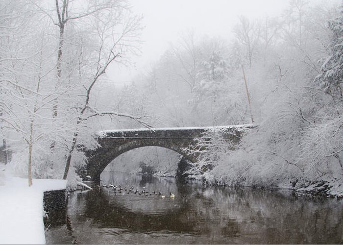 Valley Greeting Card featuring the photograph Valley Green Bridge in the Snow by Bill Cannon