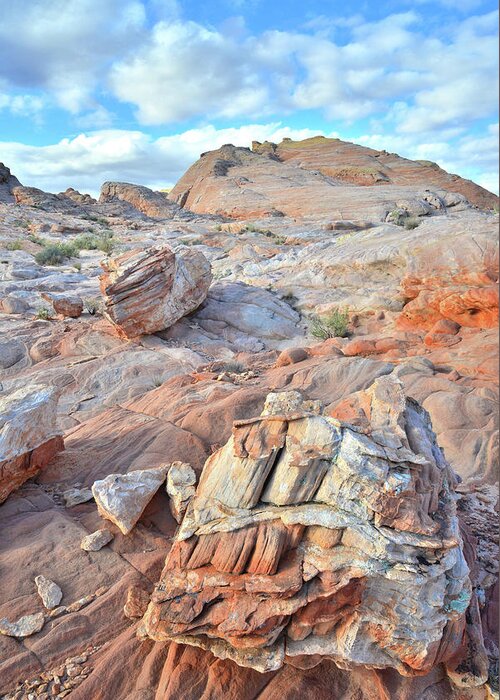 Valley Of Fire State Park Greeting Card featuring the photograph Valley of Fire Boulders by Ray Mathis