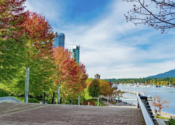 Fall Greeting Card featuring the photograph Vancouver - Fall at Coal harbour by David Lee