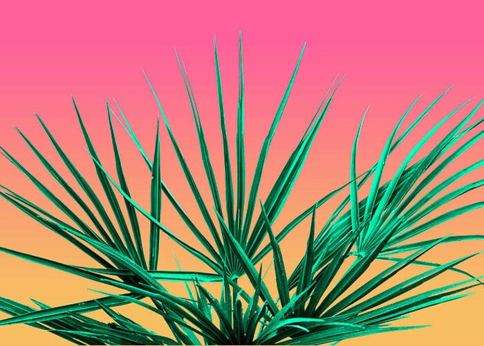 Palm Tree Greeting Card featuring the photograph Vaporwave Palm Life - Miami Sunset by Jennifer Walsh