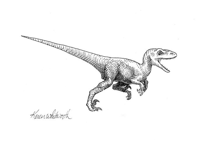 Velociraptor Illustration Greeting Card featuring the drawing Velociraptor - Jurassic Dinosaur Science Illustration Black and White Contemporary Art Ink Drawing by K Whitworth