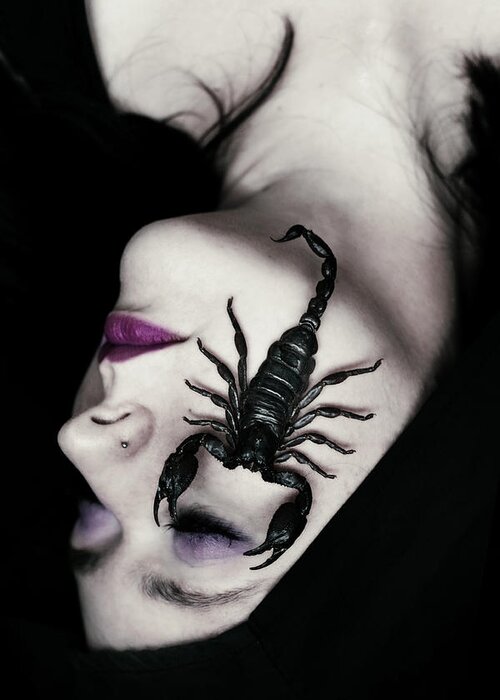 Scorpion Greeting Card featuring the photograph Venomous by Cambion Art