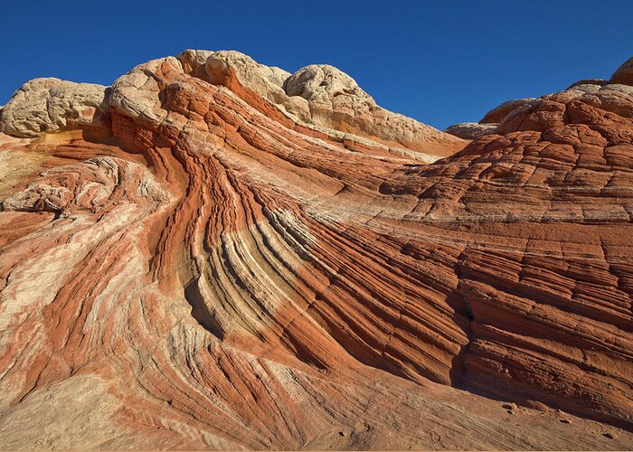 00559281 Greeting Card featuring the photograph Vermillion Cliffs Sandstone by Yva Momatiuk John Eastcott