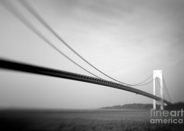 Black & White Greeting Card featuring the photograph Verrazano Bridge 2 by Tony Cordoza