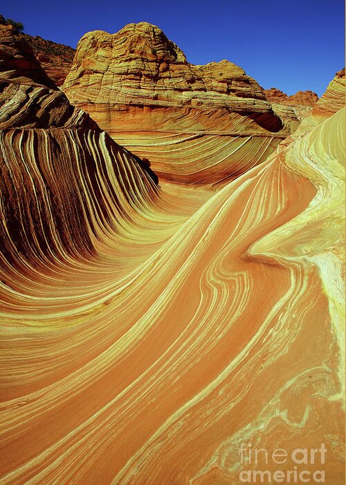 Arizona Greeting Card featuring the photograph Vertical Wave by Roxie Crouch