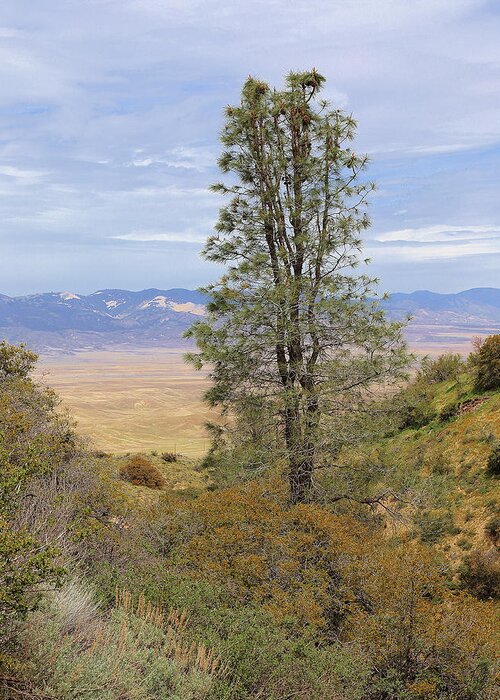 View From Pine Canyon Rd Greeting Card featuring the photograph View From Pine Canyon Rd by Viktor Savchenko