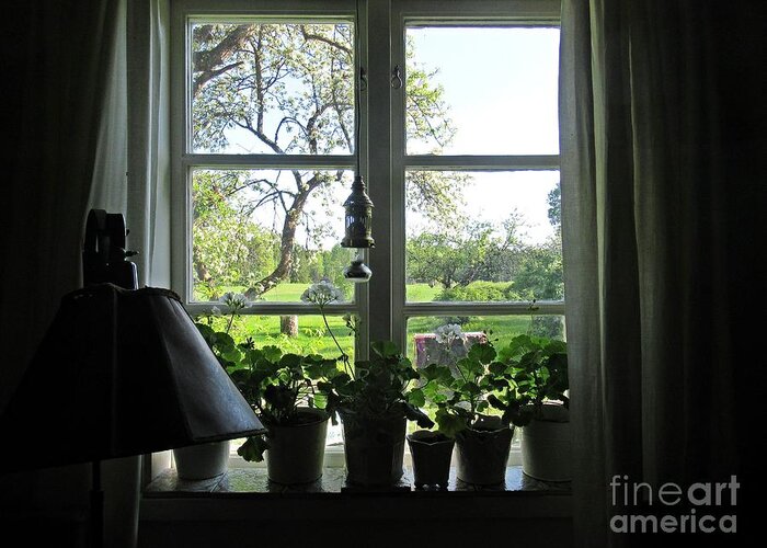 Sweden Greeting Card featuring the photograph View to the garden by Chani Demuijlder
