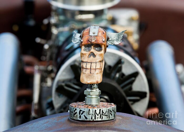 Skull Greeting Card featuring the photograph Viking Skull Hood Ornament by Chris Dutton