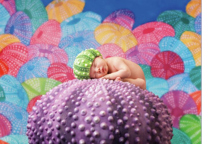 Under The Sea Greeting Card featuring the photograph Vince as a Sea Urchin by Anne Geddes