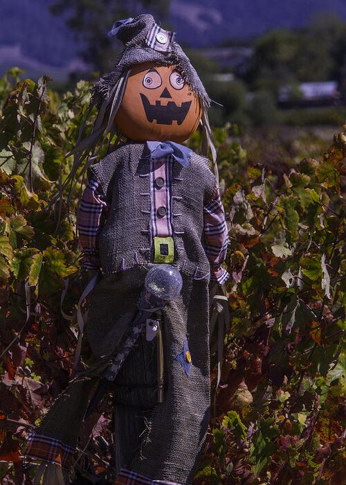 Scarecrow Greeting Card featuring the photograph Vineyard Scarecrow by Garry Gay