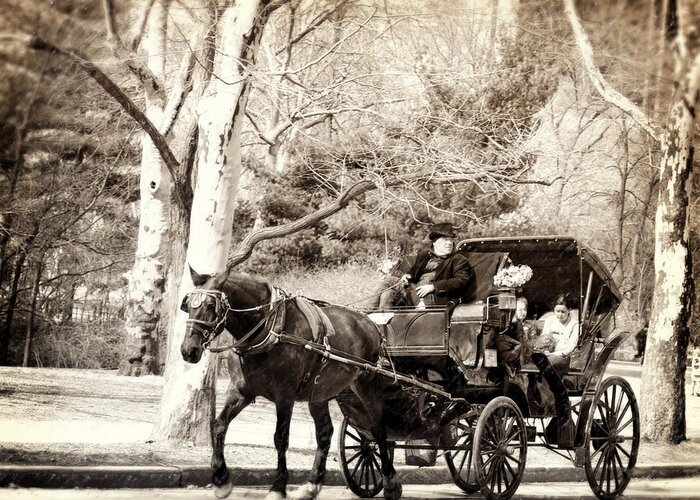 Carriage Greeting Card featuring the photograph Vintage Carriage Ride in Central Park by Vicki Jauron