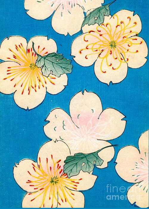 #faatoppicks Greeting Card featuring the painting Vintage Japanese illustration of dogwood blossoms by Japanese School