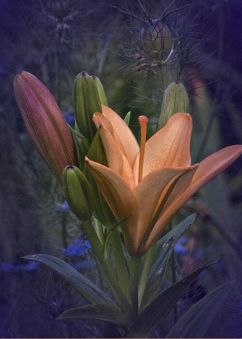 Lily Greeting Card featuring the photograph Vintage Lily 2017 No. 2 by Richard Cummings