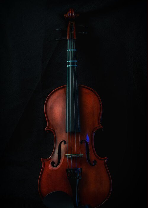 Violin Greeting Card featuring the photograph Violin Portrait Music 11 by David Haskett II