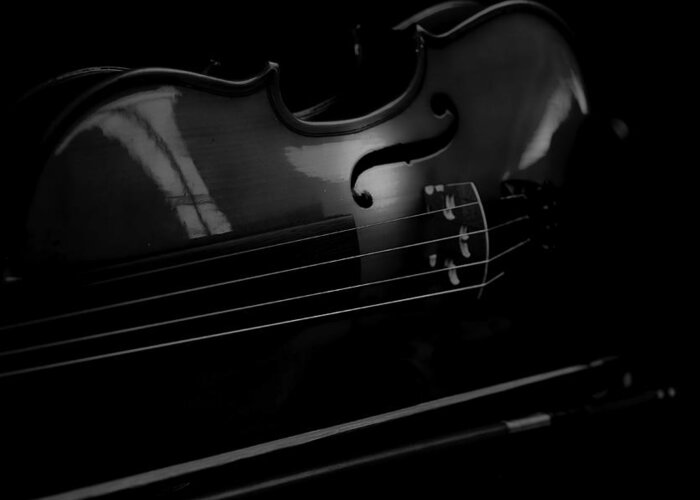 Violin Greeting Card featuring the photograph Violin Portrait Music 18 Black White by David Haskett II