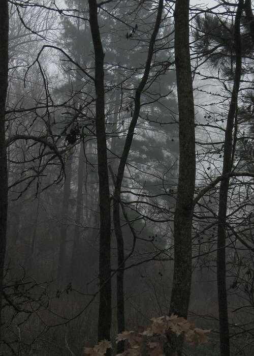 Forest Greeting Card featuring the photograph Visitation on a Foggy Morning by Judith Lauter