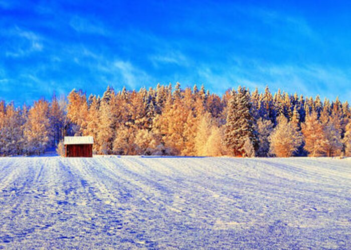 Vershinin Greeting Card featuring the photograph Vivaldi Dreaming by Alexander Vershinin