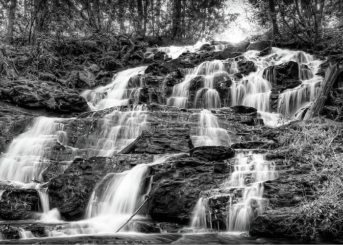 Vogel State Park Greeting Card featuring the photograph Vogel State Park Waterfall by Anna Rumiantseva
