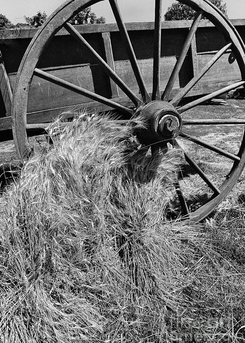 Wagon Wheel Cart Grain Crop Harvest Black White Monochrome Greeting Card featuring the photograph Wagon Wheel and Grain C2G 5772 by Ken DePue