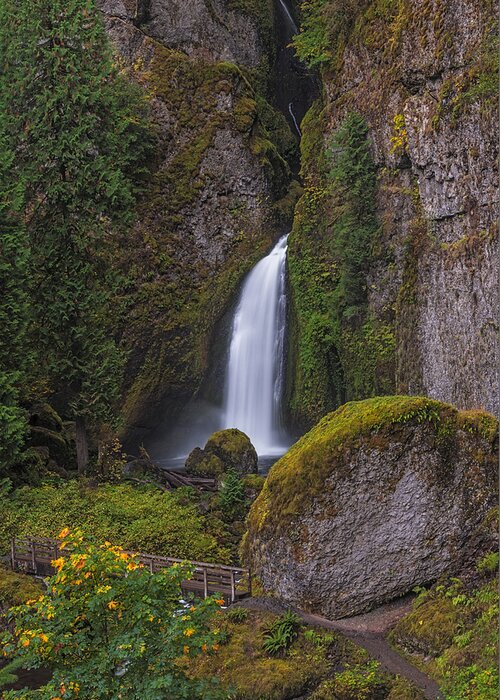 Loree Johnson Greeting Card featuring the photograph Wahclella Falls from Above by Loree Johnson