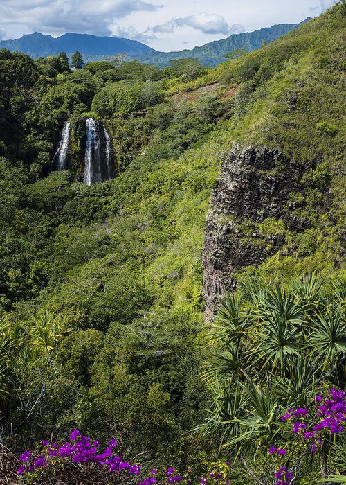 Hawaii Greeting Card featuring the photograph Wailua Falls and Tropical Plants by Robert Potts