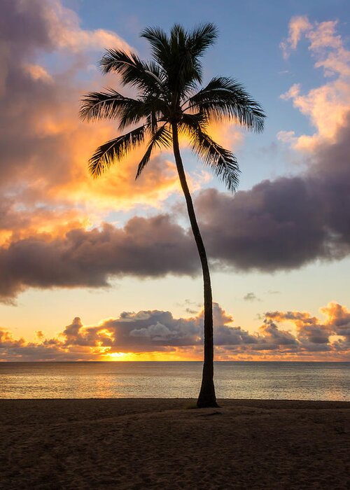 Waimea Beach Palm Tree Trees Sunset North Shore Oahu Hawaii Hi Seascape Greeting Card featuring the photograph Waimea Beach Sunset 2 - Oahu Hawaii by Brian Harig