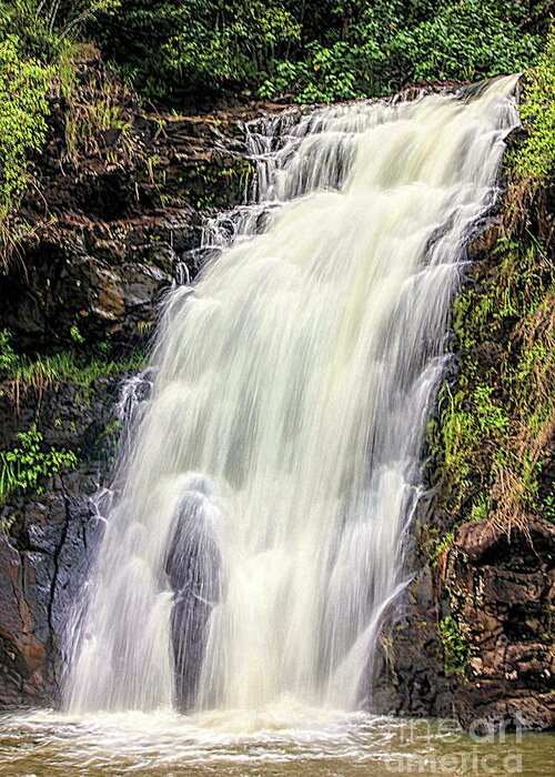 Water Greeting Card featuring the photograph Waimea Falls by Mark Jackson