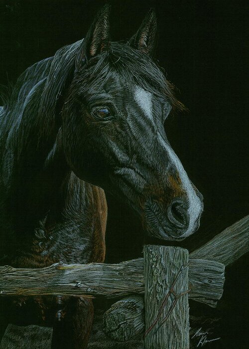 Black Horse Greeting Card featuring the drawing Waitin For a Friend by Laura Klassen