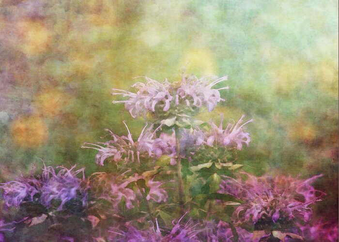 Impressionist Greeting Card featuring the photograph Waiting For Bees 2675 IDP_2 by Steven Ward