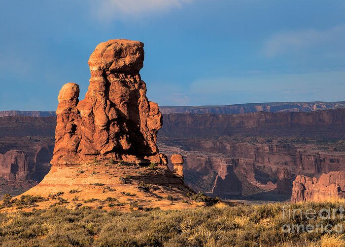Utah Greeting Card featuring the photograph Wake Up Call by Jim Garrison