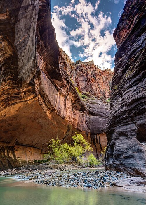 Zion Greeting Card featuring the photograph Walking in the Virgin river of Zion National Park by Pierre Leclerc Photography