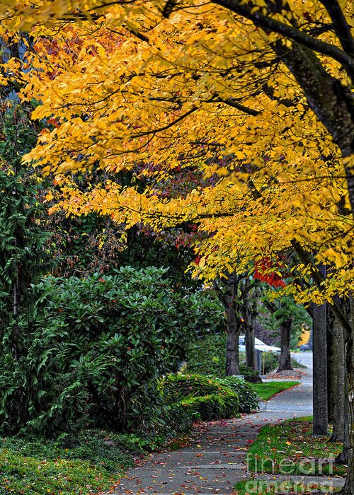 Autumn-colors Greeting Card featuring the photograph Walkway Under A Canopy Of Yellow by Kirt Tisdale
