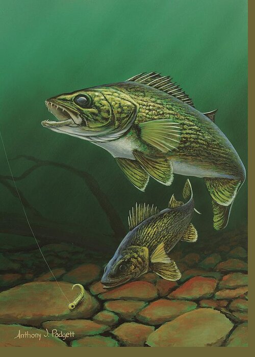 Walleye Greeting Card featuring the painting Walleye by Anthony J Padgett