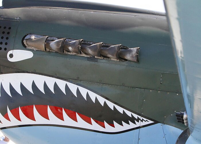 P-40d Warhawk Greeting Card featuring the photograph War Face by Shoal Hollingsworth