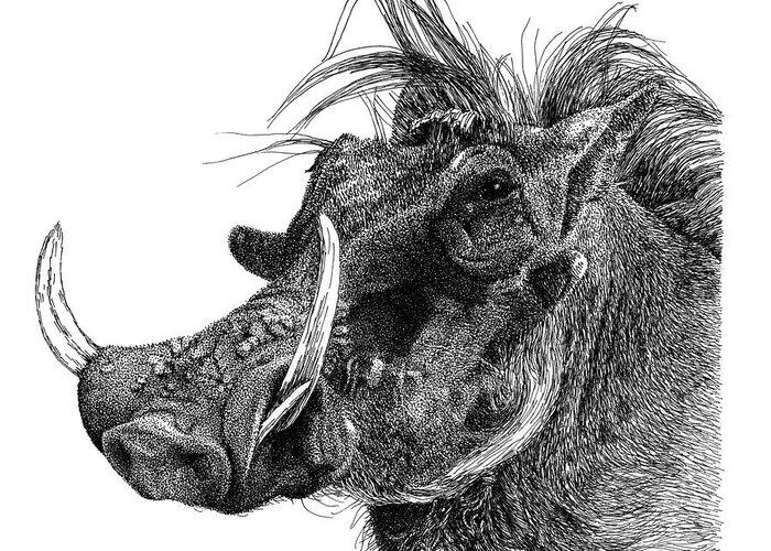 Warthog Greeting Card featuring the drawing Warthog by Scott Woyak
