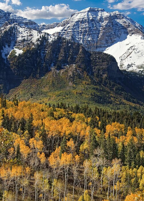 Mount Timpanogos Greeting Card featuring the photograph Wasatch Mountains Autumn by Douglas Pulsipher