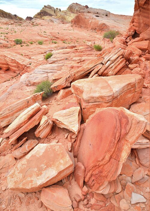 Valley Of Fire State Park Greeting Card featuring the photograph Wash 4 Color in Valley of Fire by Ray Mathis