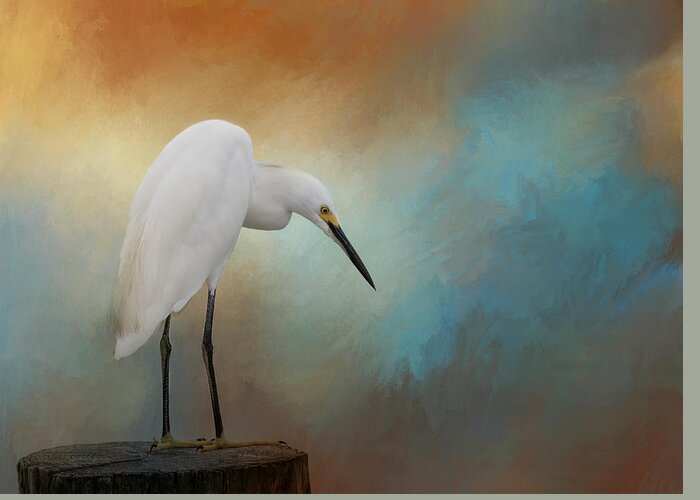 Egret Greeting Card featuring the photograph Watching by Kim Hojnacki