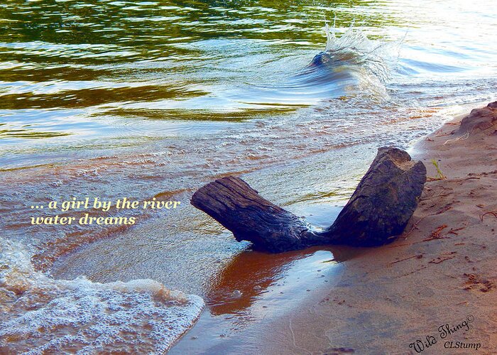 Poetry Greeting Card featuring the photograph Water Dreams by Wild Thing